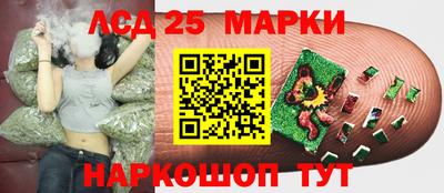 стафф Моздок