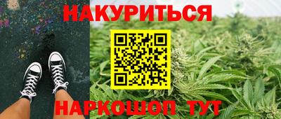 стафф Моздок