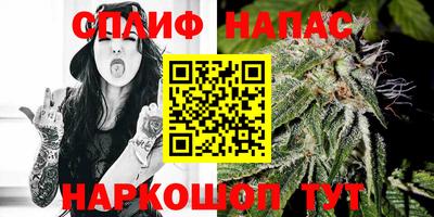 стафф Моздок