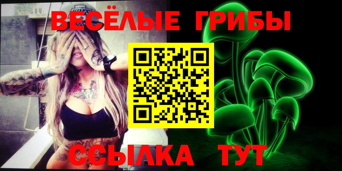 Галлюциногенные грибы Psilocybine cubensis Ступино