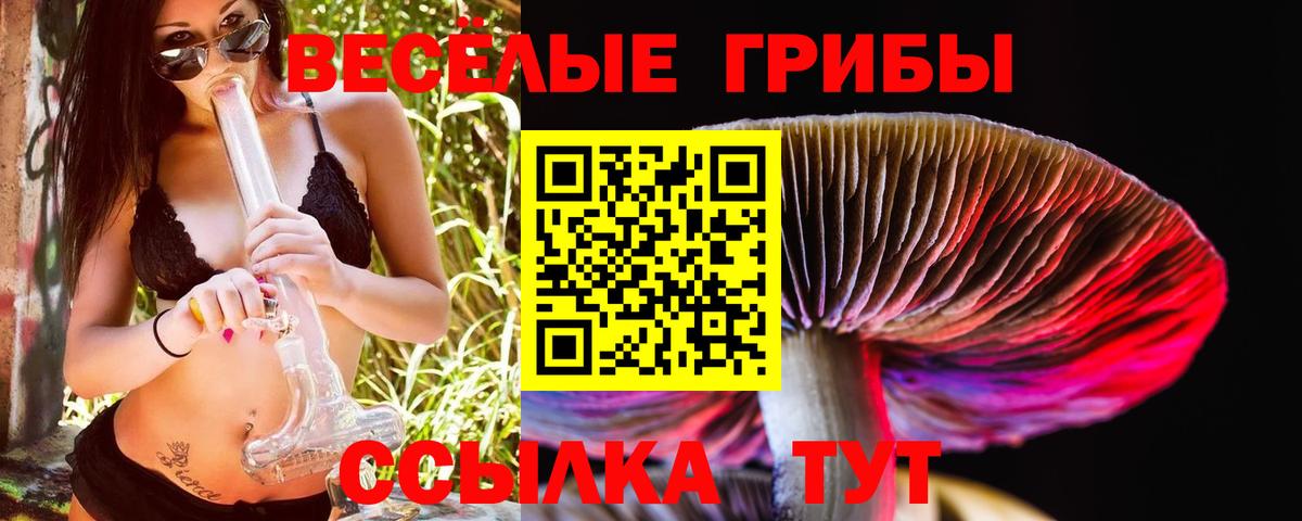 Галлюциногенные грибы прущие грибы  Галлюциногенные грибы MAGIC MUSHROOMS  Вход с VPN  Ступино 